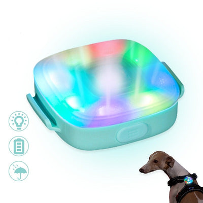 USB Light Pet Dog Led Collar