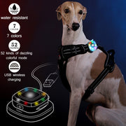 USB Light Pet Dog Led Collar
